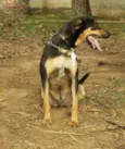 REX, menino mais li