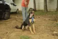 REX, menino mais li