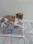 Duke Augusto