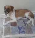 Duke Augusto