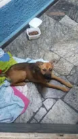 Sem nome