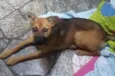 Sem nome