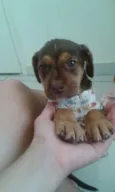 kika