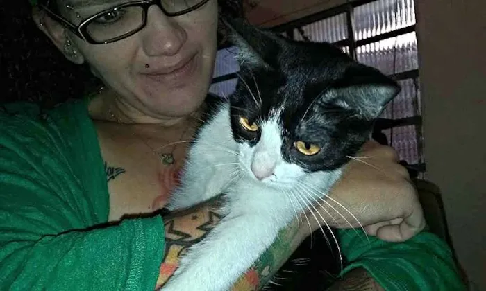 Gato ra a  idade 1 ano nome Casper e Lucky