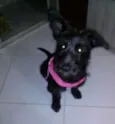 Vivi