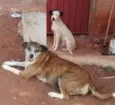 Não sei