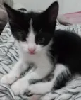 Sem nome