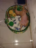 Caramelo