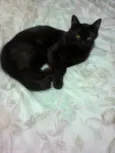nina