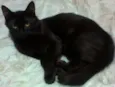 nina