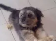 TUFÃO
