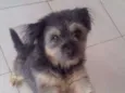 TUFÃO