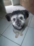 TUFÃO
