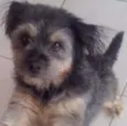TUFÃO
