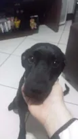 PRETINHA