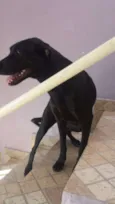 PRETINHA