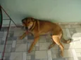 Bili