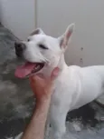 Kira