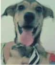 Marley