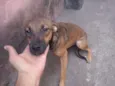 Princesa e Belinha