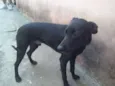 Princesa e Belinha