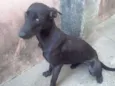 Princesa e Belinha