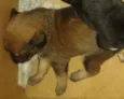 ---