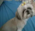 Hanna