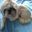 Hanna