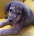 Nina
