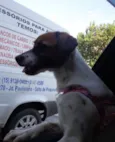 LILI