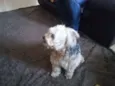 jack