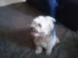 jack