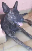 Jully