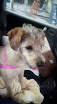 Koca