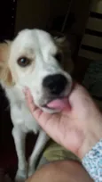 Théo