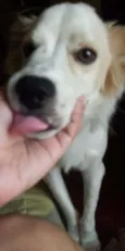 Théo