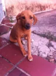 peralta
