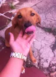 peralta