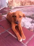 peralta