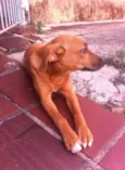 peralta
