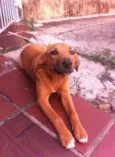 peralta