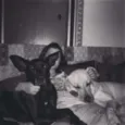 Thor, Laila, Luna, 