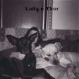 Thor, Laila, Luna, 