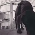 Thor, Laila, Luna,
