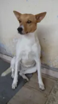 Pequena
