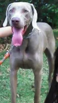 Kadu