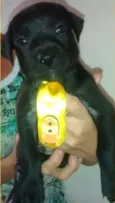 BEN