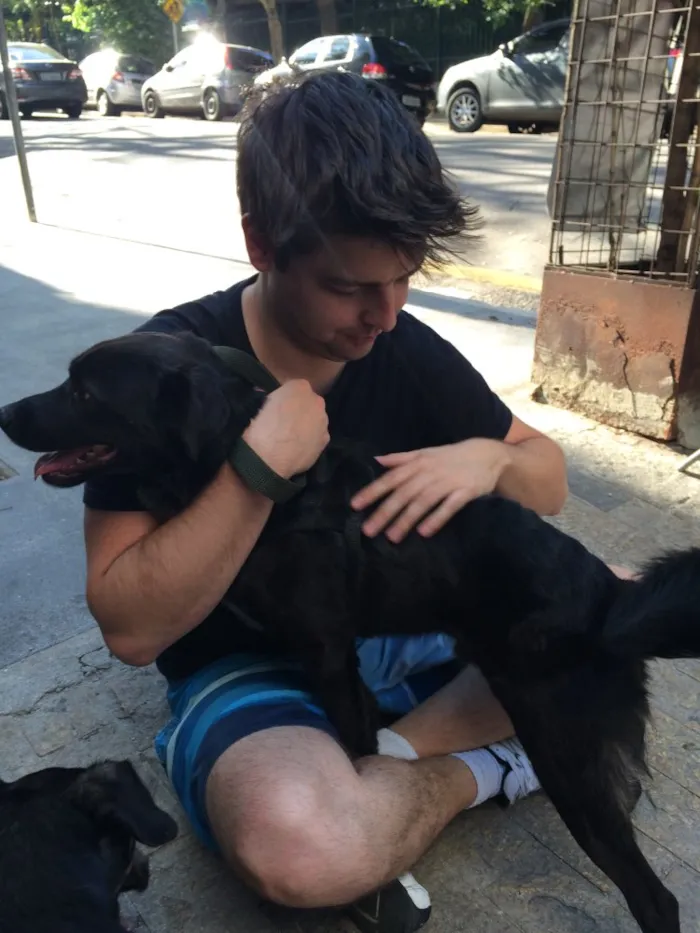 Cachorro ra a Srd idade 4 anos nome Spike