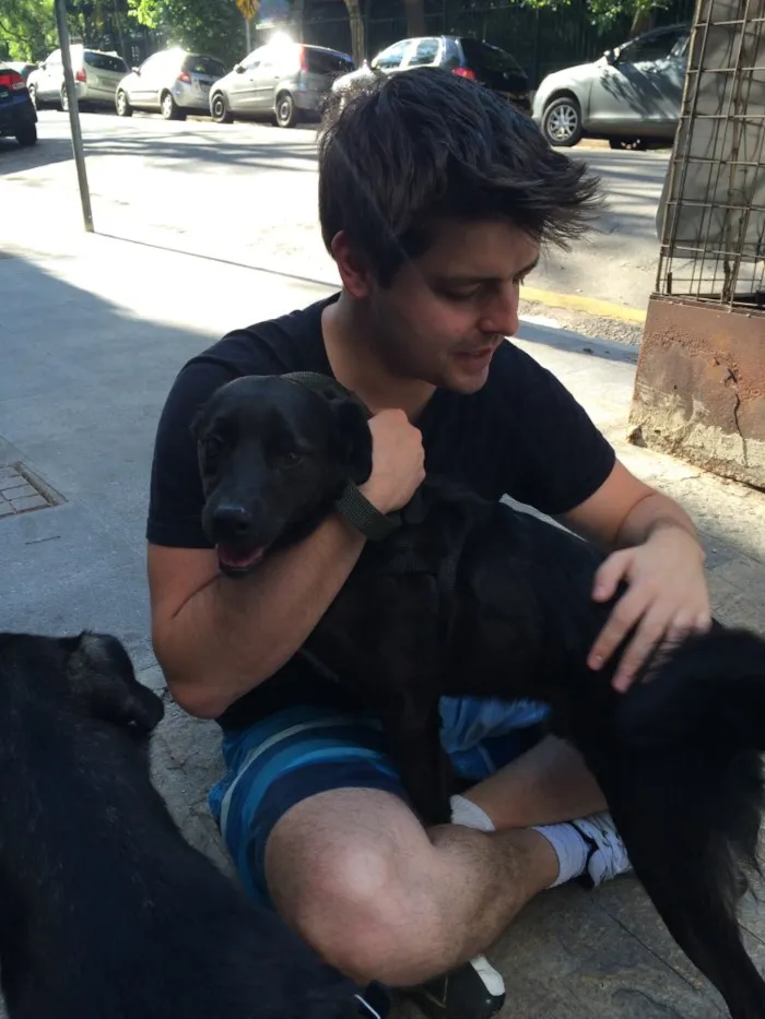Cachorro ra a Srd idade 4 anos nome Spike